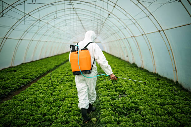 Best Best Pest Control Companies  in New Paleste, IN