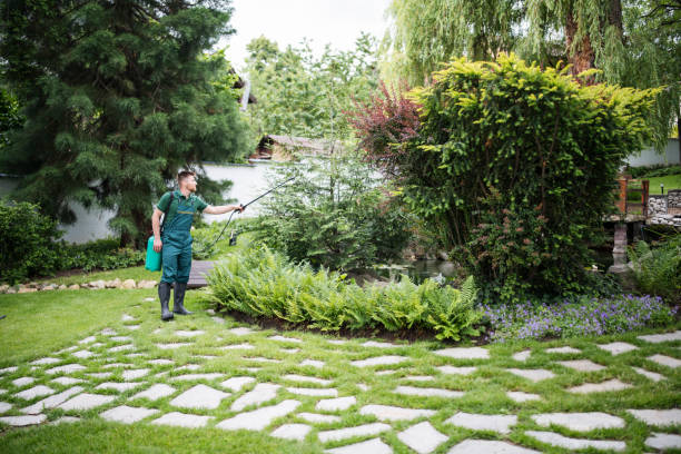 Best Affordable Pest Control Services  in New Paleste, IN