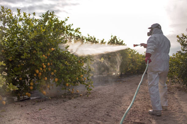 Best Pest Inspection Near Me  in New Paleste, IN
