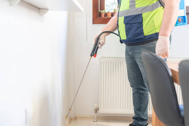Best Affordable Pest Control Services  in New Paleste, IN