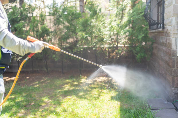 Trusted New Palestine, IN Pest Control Experts