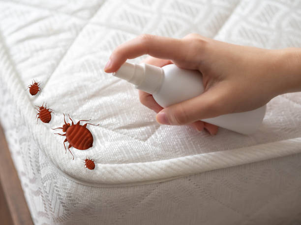 Best Cockroach Control Services  in New Paleste, IN