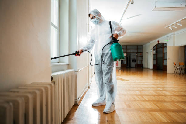 Best Termite Control Services  in New Paleste, IN